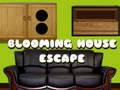 Spel Ontsnapping uit het bloeiende huis online