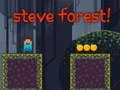 Spel Steve Bos online