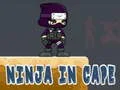 Spel Ninja in Cape online