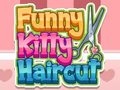 Spel Grappige Kattenknipbeurt online Spel Grappige Kattenknipbeurt online