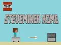 Spel Steveminer Huis online