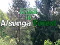 Spel Terug naar het Alsunga-bos online Spel Terug naar het Alsunga-bos online