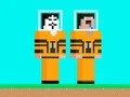Spel Noob tegen Hacker Duikpak online