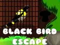 Spel Zwarte Vogel Ontsnapping online