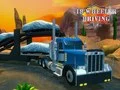 Spel 18 Wielen Rijd Simulator online