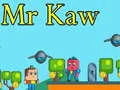 Spel Mijnheer Kaw online Spel Mijnheer Kaw online