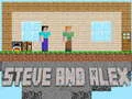 Spel Steve en Alex online
