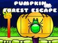 Spel Ontsnapping uit de Pompoenbos online Spel Ontsnapping uit de Pompoenbos online