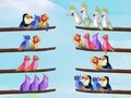 Spel Vogel Sorteer Puzzle online