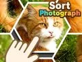 Spel Foto sorteren online Spel Foto sorteren online