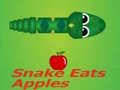 Spel De slang eet de appel online