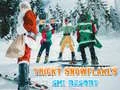 Spel Verborgen sneeuwvlokken in het skiresort online