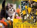 Spel Puzzel Glijdende Katten online