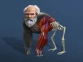 Spel Inactieve Evolutie: Van Cel naar Mens online Spel Inactieve Evolutie: Van Cel naar Mens online