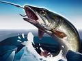 Spel IJsvisserij 3D online Spel IJsvisserij 3D online