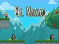 Spel Meneer Macagi online
