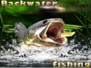 Spel Vissen in stilstaand water online Spel Vissen in stilstaand water online
