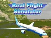 Spel Echte Vliegsimulator online