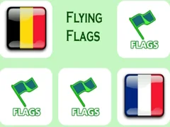 Spel Vliegende Vlaggen online