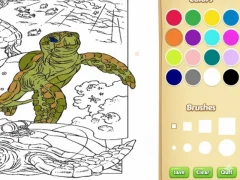 Spel Zeekleurboek online