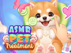 Spel ASMR-huisdierbehandeling online
