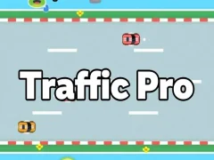 Spel Verkeerspro online