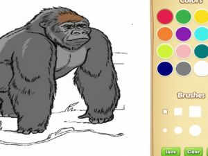 Spel Dierentuin dieren kleurboek voor kinderen online