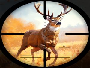 Spel Wild Hunting Clash online