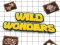 Spel Wild wonderen online