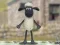 Spel Shaun het Schaap: Wolledig Springen! online