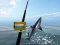Spel Azure Zee Vissen online