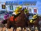 Spel Paardenraces online