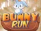 Spel Konijnenrace online