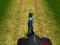 Spel Bosloper online