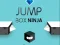 Spel Springdoos Ninja online