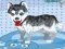 Spel Mijn schattige hond in bad online