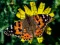 Spel Puzzel: Lente online