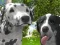 Spel Hond Simulator 3D online