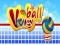 Spel Volleybal online