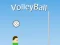 Spel Volleybal online