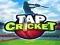 Spel Tik Cricket online