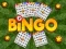 Spel Bingo online
