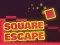 Spel Vierkante Ontsnapping online