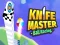 Spel Mes Master: Ball Racing online