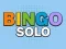Spel Bingo Solo online