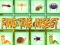 Spel Vind Het Insect online
