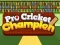 Spel Pro Cricket Kampioen online