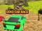 Spel Dino Auto Race online