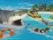 Spel De Haaien online Spel De Haaien online