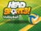 Spel Head Sports Volleybal online